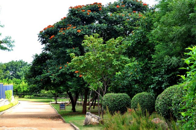24kbrpark_hyderabad02