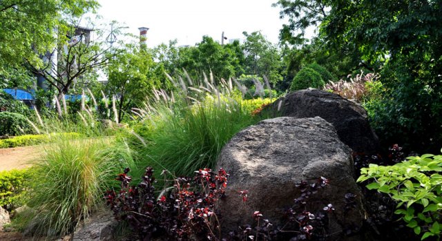 24kbrpark_hyderabad04