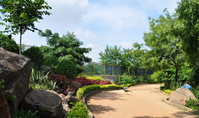 24kbrpark_hyderabad06