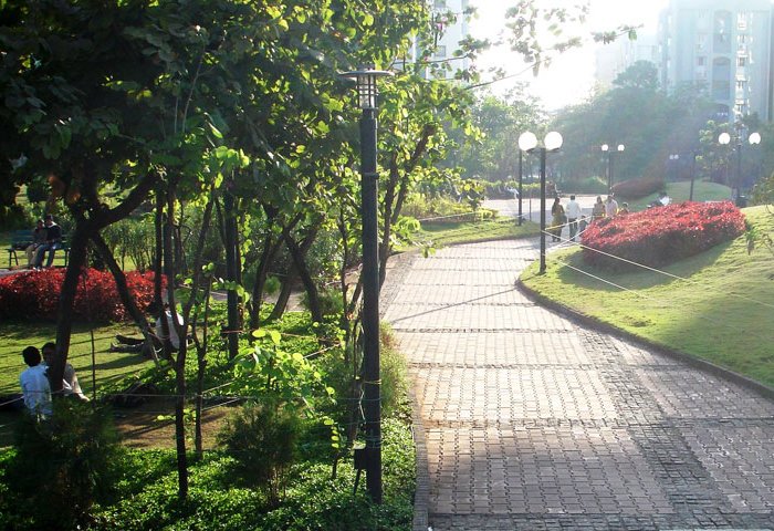 City Park